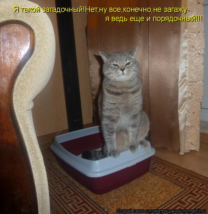Котоматрица: Я такой загадочный!Нет,ну все,конечно,не загажу- я ведь еще и порядочный!!!