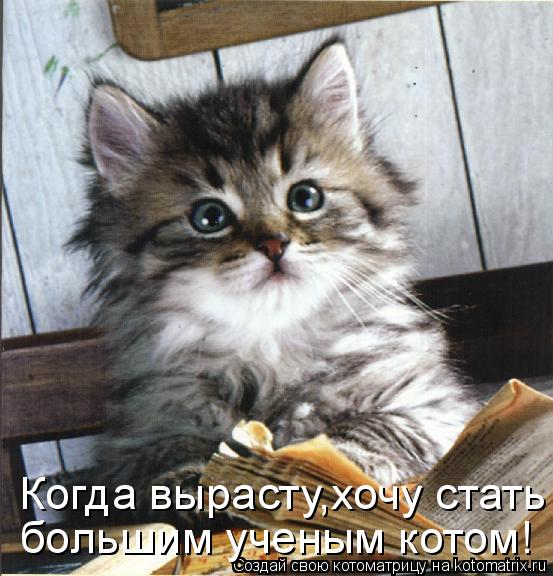 Котоматрица: Когда вырасту,хочу стать большим ученым котом!