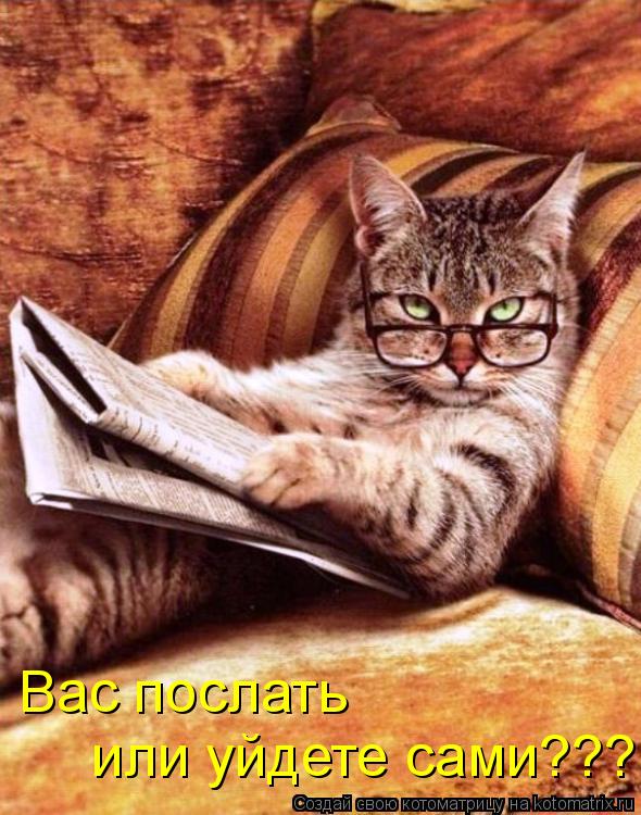 Котоматрица: Вас послать  или уйдете сами???