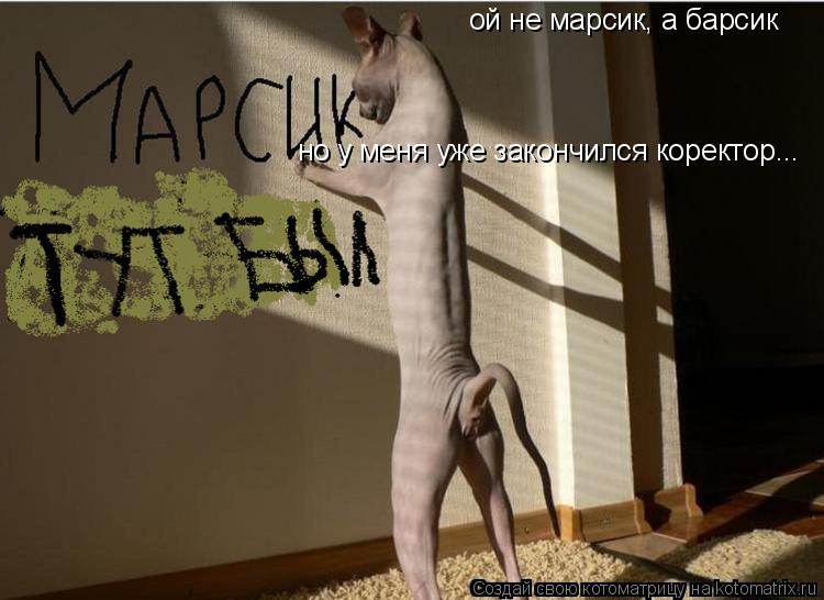 Котоматрица: ой не марсик, а барсик но у меня уже закончился коректор...