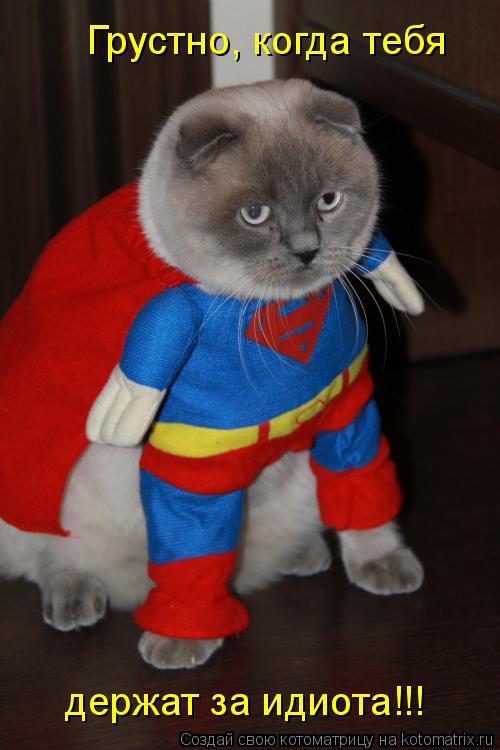 Котоматрица: держат за идиота!!! Грустно, когда тебя
