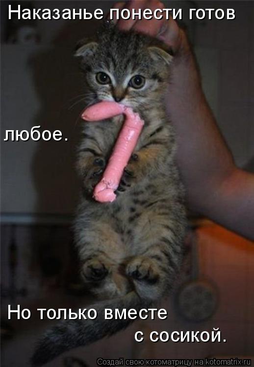 Котоматрица: Наказанье понести готов любое. Но только вместе  с сосикой.