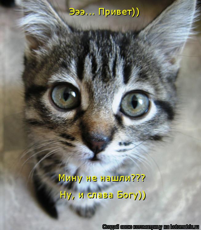 Котоматрица: Эээ... Привет))  Мину не нашли??? Ну, и слава Богу))