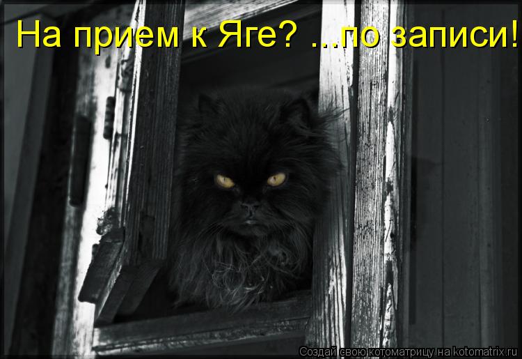 Котоматрица: На прием к Яге? ...по записи!