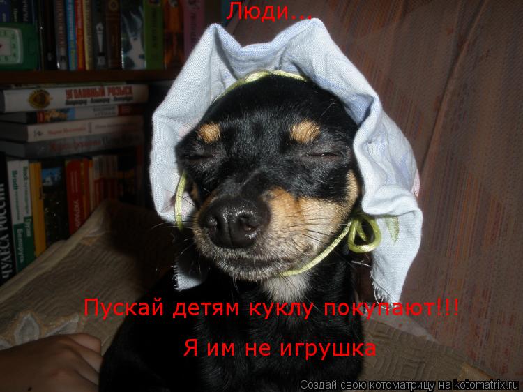 Котоматрица: Люди... Пускай детям куклу покупают!!! Я им не игрушка