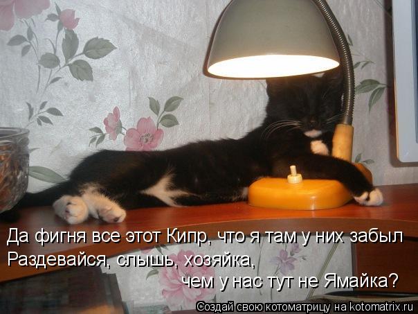 Котоматрица: Да фигня все этот Кипр, что я там у них забыл Раздевайся, слышь, хозяйка, чем у нас тут не Ямайка?