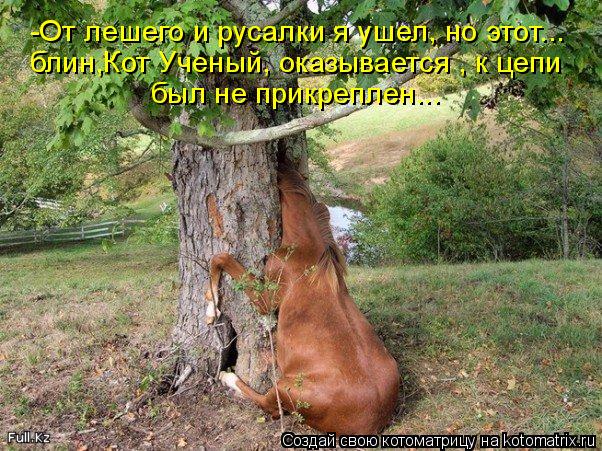 Котоматрица: -От лешего и русалки я ушел, но этот... блин,Кот Ученый, оказывается , к цепи  был не прикреплен...
