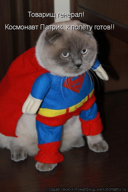 Котоматрица: Товарищ генерал! Космонавт Василий  к полёту готов!! Космонавт Патрик  к полёту готов!!