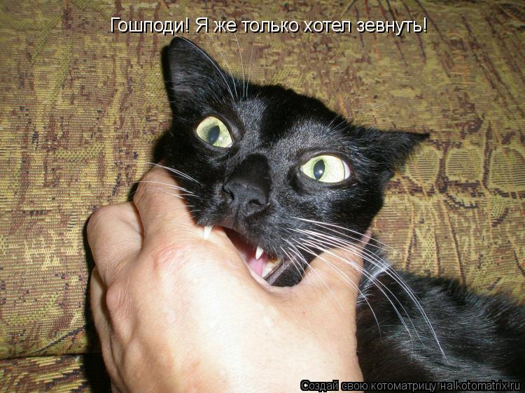 Котоматрица: Гошподи! Я же только хотел зевнуть!