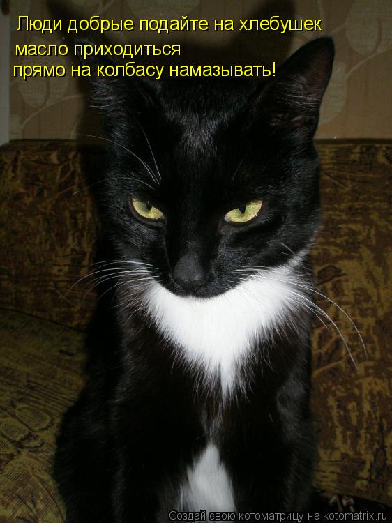 Котоматрица: Люди добрые подайте на хлебушек масло приходиться  прямо на колбасу намазывать!