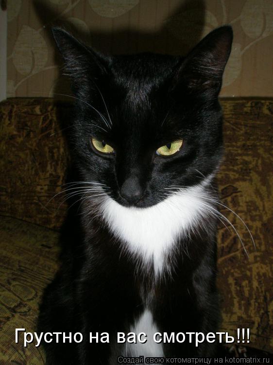 Котоматрица: Грустно на вас смотреть!!!