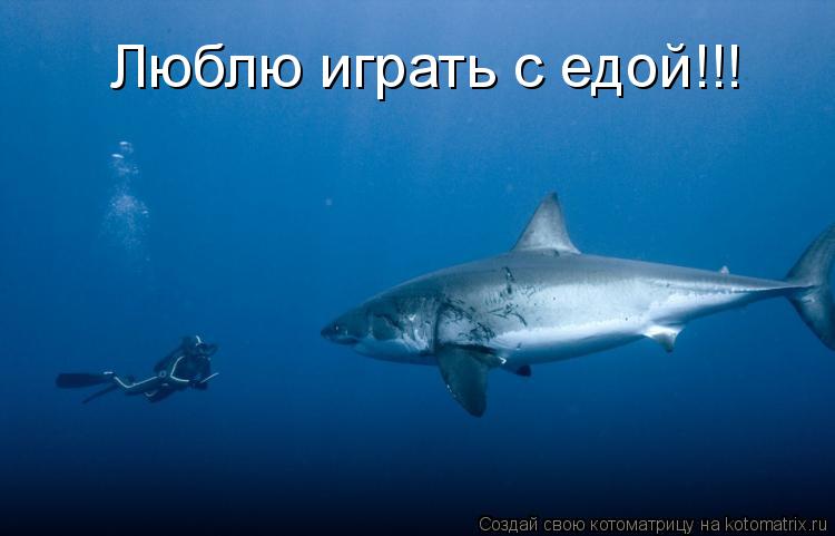 Котоматрица: Люблю играть с едой!!!