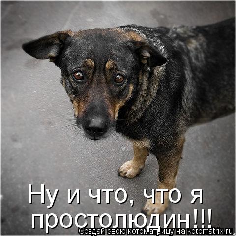 Котоматрица: Ну и что, что я простолюдин!!!