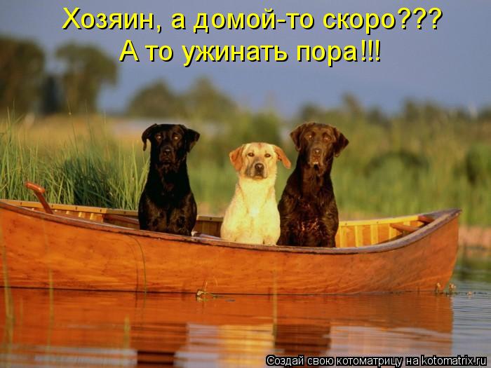 Котоматрица: Хозяин, а домой-то скоро??? А то ужинать пора!!!