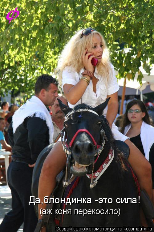 Котоматрица: Да,блондинка -это сила! (аж коня перекосило)