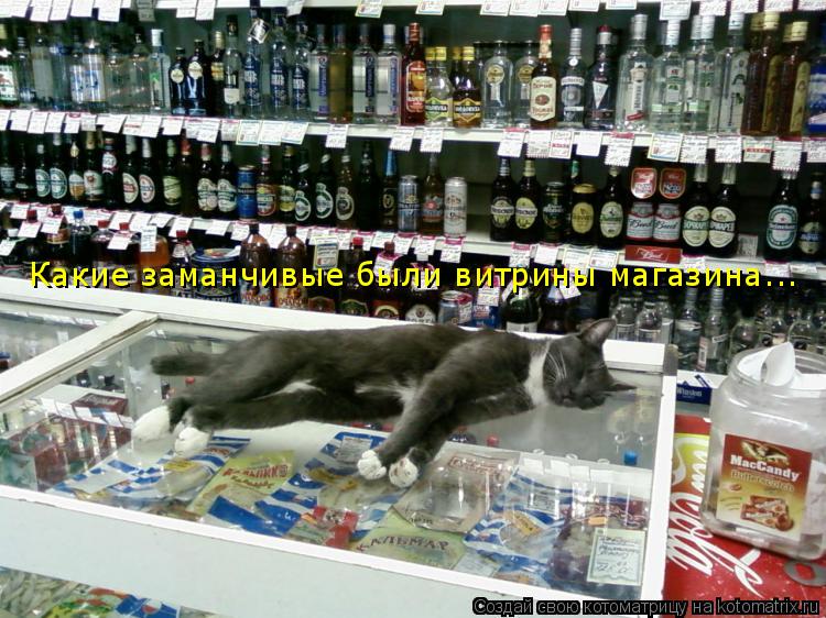 Котоматрица: Какие заманчивые были витрины магазина...