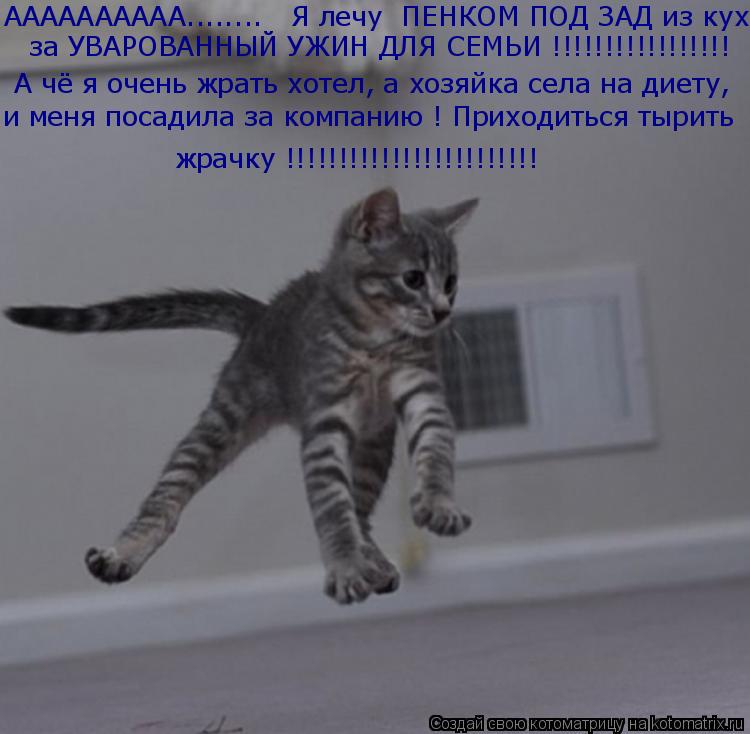 Котоматрица: АААААААААА........   Я лечу  ПЕНКОМ ПОД ЗАД из кухни,  за УВАРОВАННЫЙ УЖИН ДЛЯ СЕМЬИ !!!!!!!!!!!!!!!!! А чё я очень жрать хотел, а хозяйка села на дие