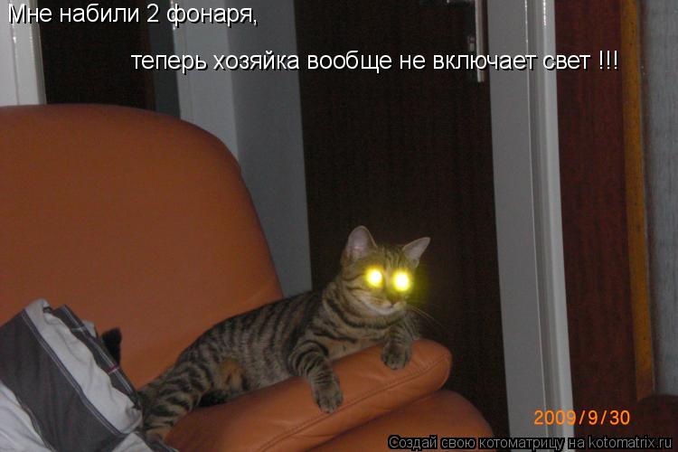 Котоматрица: Мне набили 2 фонаря, теперь хозяйка вообще не включает свет !!!