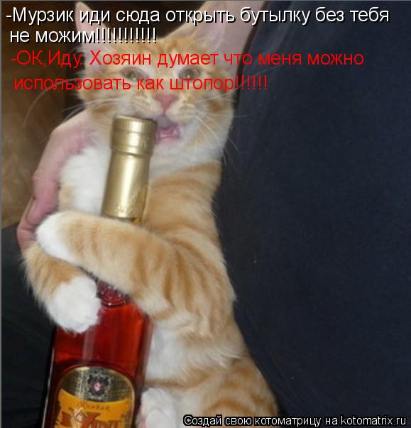 Котоматрица: -Мурзик иди сюда открыть бутылку без тебя  не можим!!!!!!!!!!! -ОК,Иду. Хозяин думает что меня можно  использовать как штопор!!!!!!