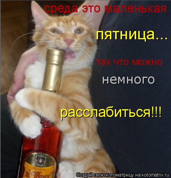 Котоматрица: среда это маленькая пятница... так что можно немного расслабиться!!!