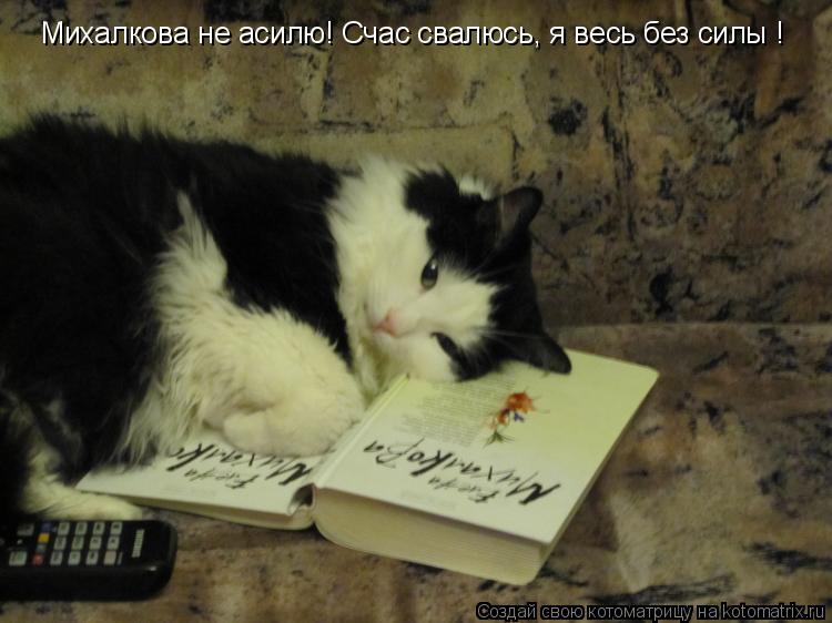 Котоматрица: Михалкова не асилю! Счас свалюсь, я весь без силы !