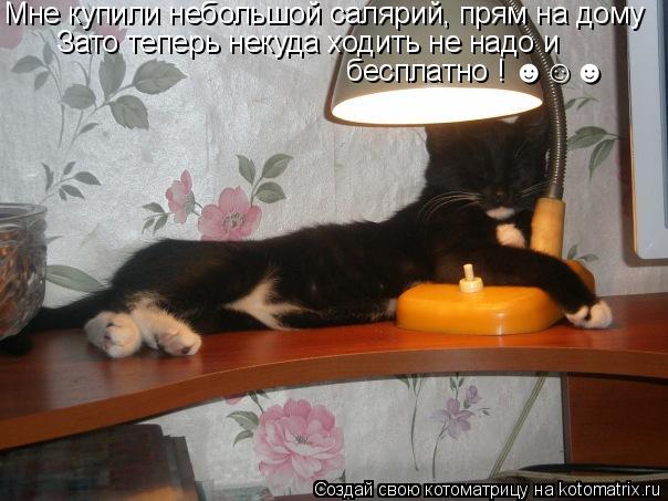 Котоматрица: Мне купили небольшой салярий, прям на дому  Зато теперь некуда ходить не надо и   бесплатно ! ☻☺☻