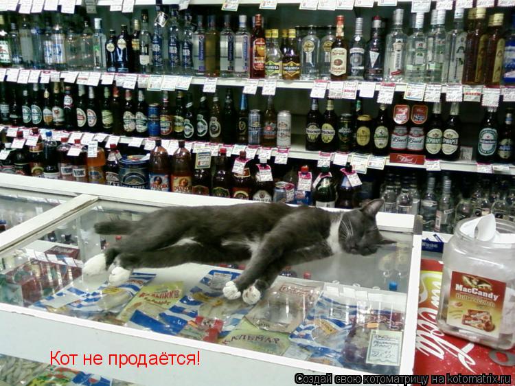 Котоматрица: Кот не продаётся!