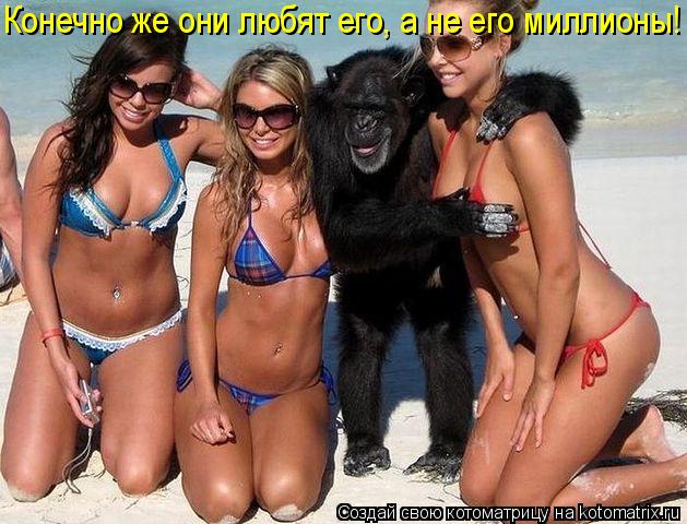 Котоматрица: Конечно же они любят его, а не его миллионы!