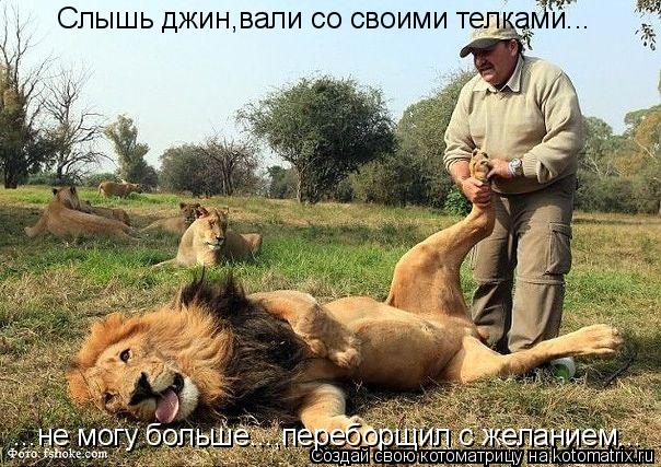 Котоматрица: Слышь джин,вали со своими телками... ...не могу больше...,переборщил с желанием...