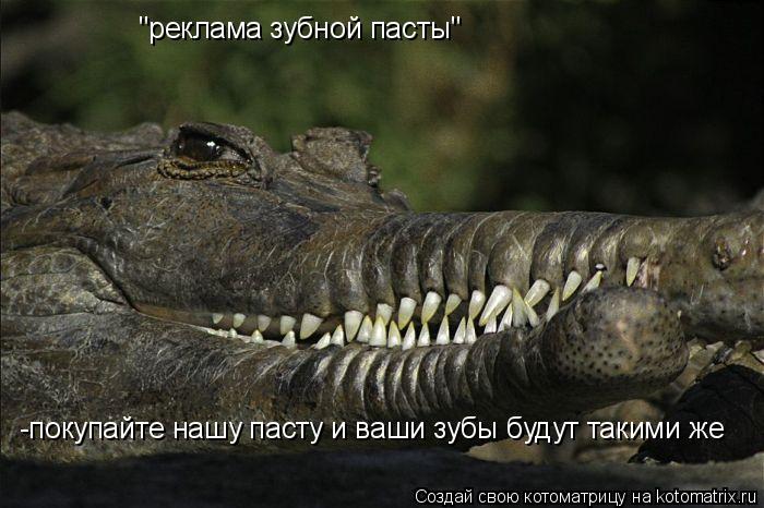 Котоматрица: "реклама зубной пасты" -покупайте нашу пасту и ваши зубы будут такими же