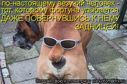 Котоматрица: по-настоящему везучий человек -  тот, которому фортуна улыбается,  ДАЖЕ ПОВЕРНУВШИСЬ К НЕМУ ЗАДНИЦЕЙ!