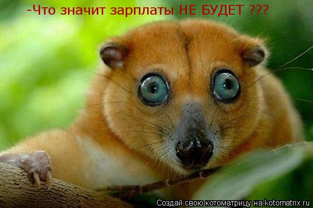 Котоматрица: -Что значит зарплаты НЕ БУДЕТ ???