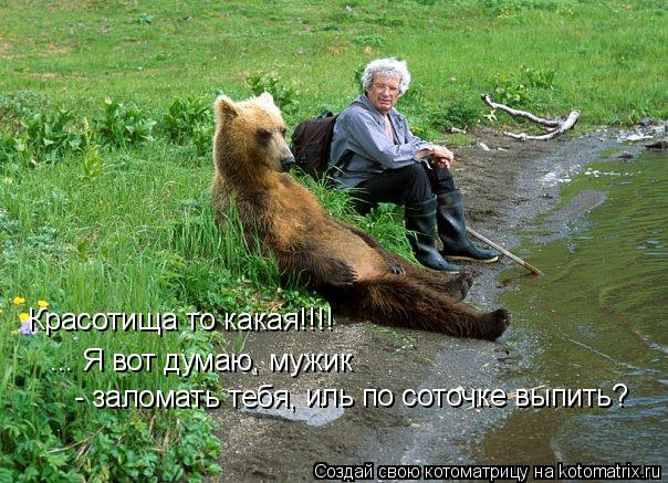 Котоматрица: Красотища то какая!!!! ... Я вот думаю, мужик - заломать тебя, иль по соточке выпить?
