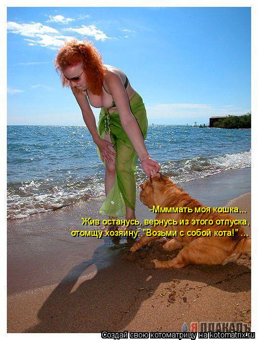 Котоматрица: -Ммммать моя кошка...  Жив останусь, вернусь из этого отпуска,  отомщу хозяину: "Возьми с собой кота!" ...