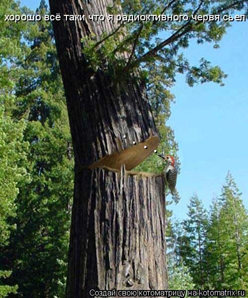 Котоматрица: хорошо всё таки что я радиоктивного червя сьел . . . .