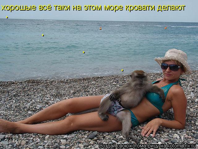 Котоматрица: хорошые всё таки на этом море кровати делают . . . .