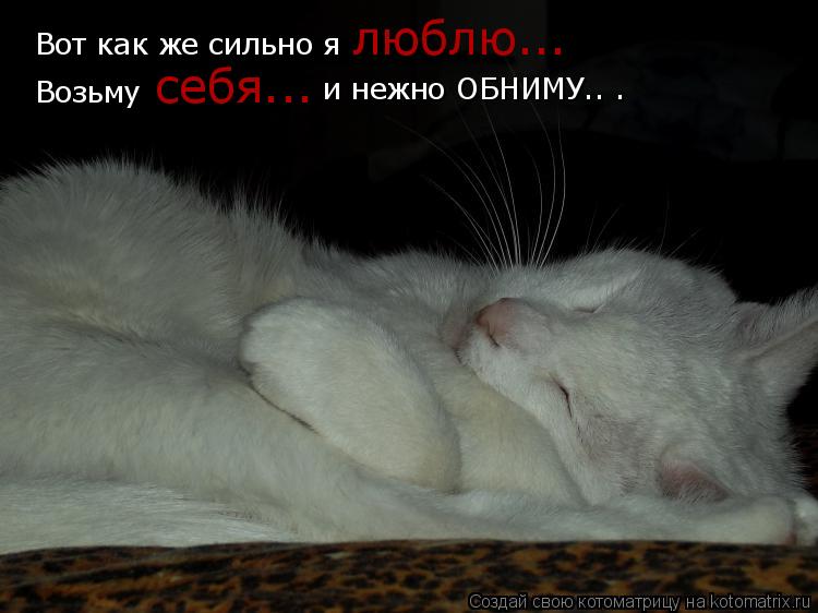 Котоматрица: Возьму Вот как же сильно я  люблю... и нежно ОБНИМУ.. . себя...