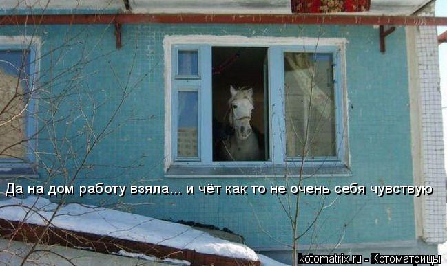 Котоматрица: Да на дом работу взяла... и чёт как то не очень себя чувствую