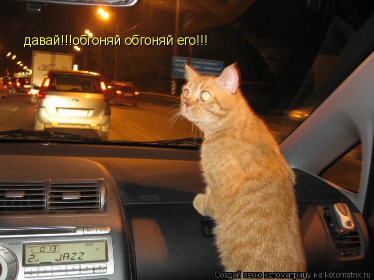 Котоматрица: давай!!!обгоняй обгоняй его!!!