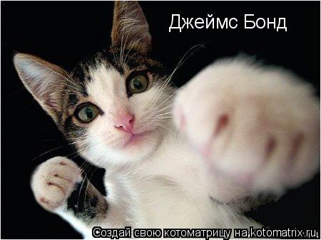 Котоматрица: Джеймс Бонд