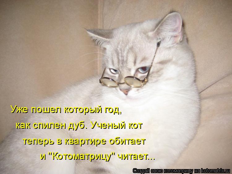 Котоматрица: Уже пошел который год,  как спилен дуб. Ученый кот теперь в квартире обитает и "Котоматрицу" читает...