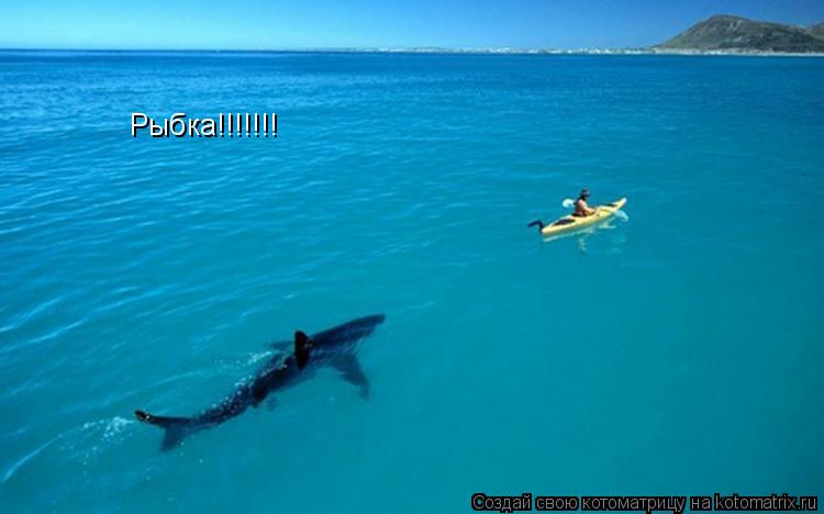 Котоматрица: Рыбка!!!!!!!