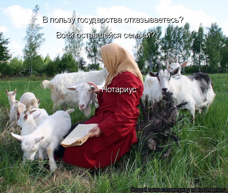 Котоматрица: В пользу государства отказываетесь? Нотариус Всей оставшейся семьей?