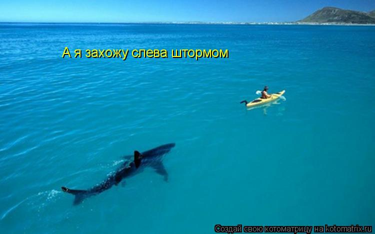 Котоматрица: А я захожу слева штормом