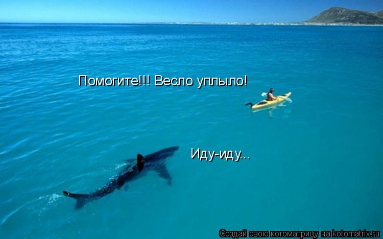 Котоматрица: Помогите!!! Весло уплыло! Иду-иду...