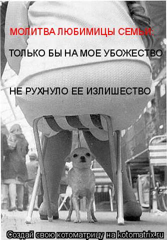 Котоматрица: ТОЛЬКО БЫ НА МОЕ УБОЖЕСТВО НЕ РУХНУЛО ЕЕ ИЗЛИШЕСТВО МОЛИТВА ЛЮБИМИЦЫ СЕМЬИ: