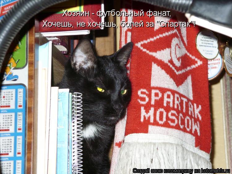 Котоматрица: Хозяин - футбольный фанат, Хочешь, не хочешь, болей за "Спартак"!