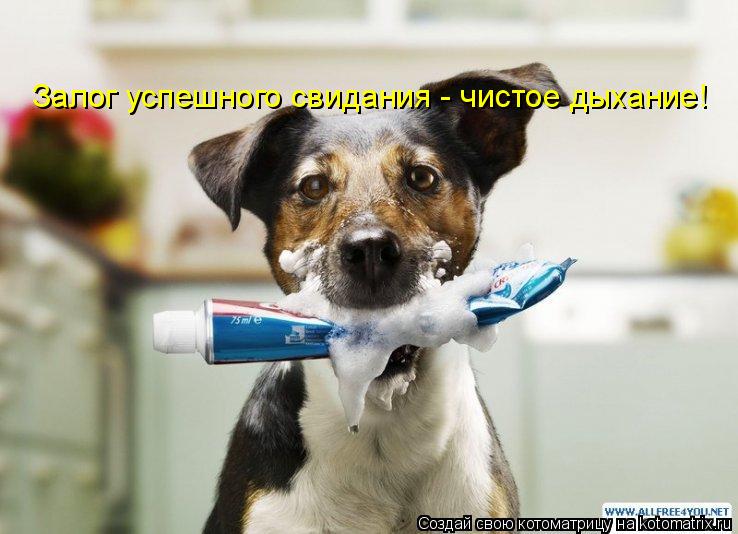 Котоматрица: Залог успешного свидания - чистое дыхание!