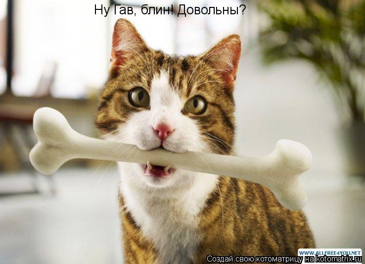 Котоматрица: Ну Гав, блин! Довольны?