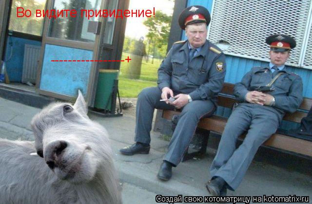 Котоматрица: -----------------+ Во видите привидение!